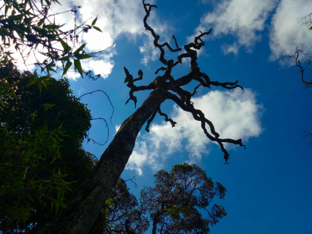 大西部山区图片下载
