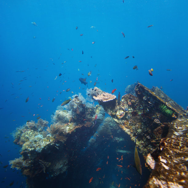 沉船图片下载