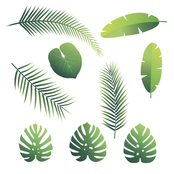 树叶图片素材ID：157715344