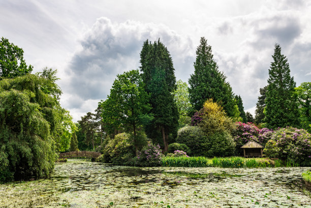 夏天的英国公园图片下载