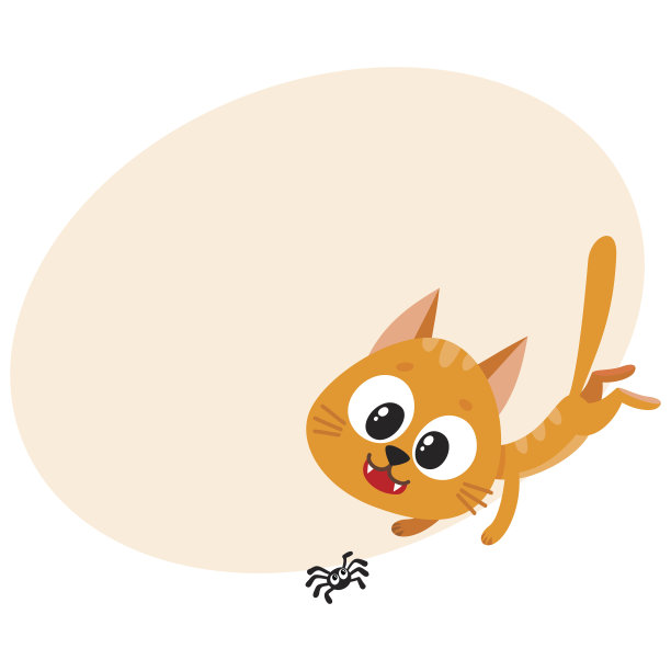 可爱有趣的红猫人物追着，追着，玩着小蜘蛛素材图片