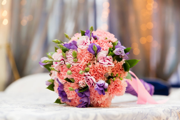 康乃馨照片素材ID：157731832