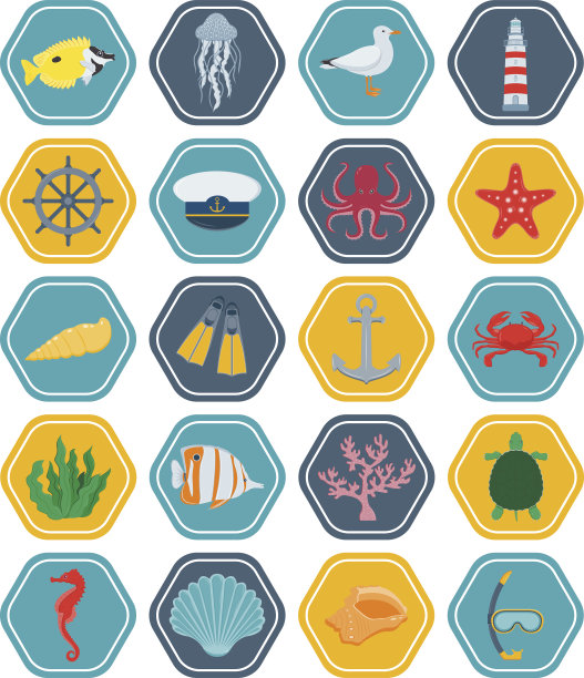 海洋图标和符号集。海洋动物。航海的设计元素。向量图片下载