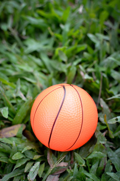 篮球在草地上图片下载