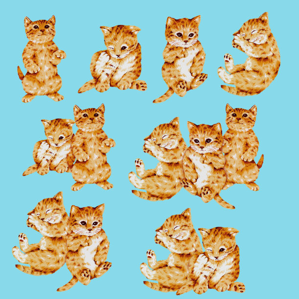 漂亮的猫插图图片下载