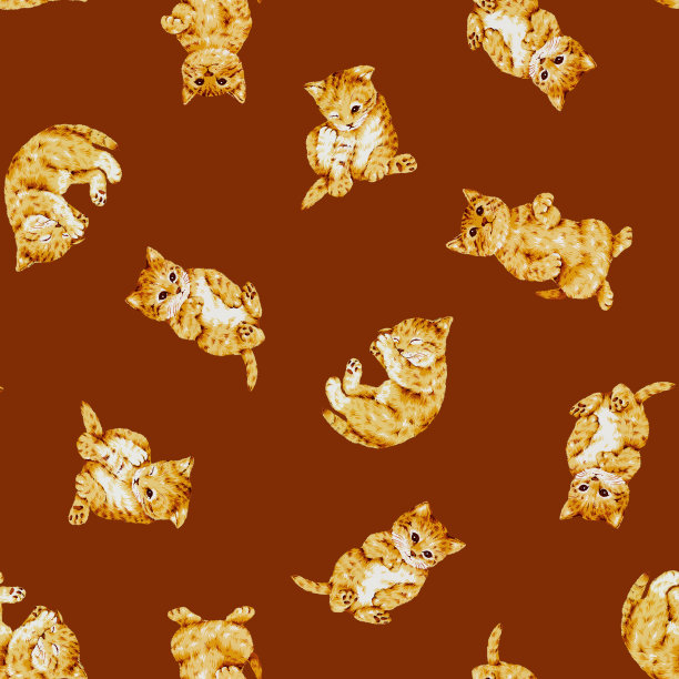 漂亮的猫模式图片下载