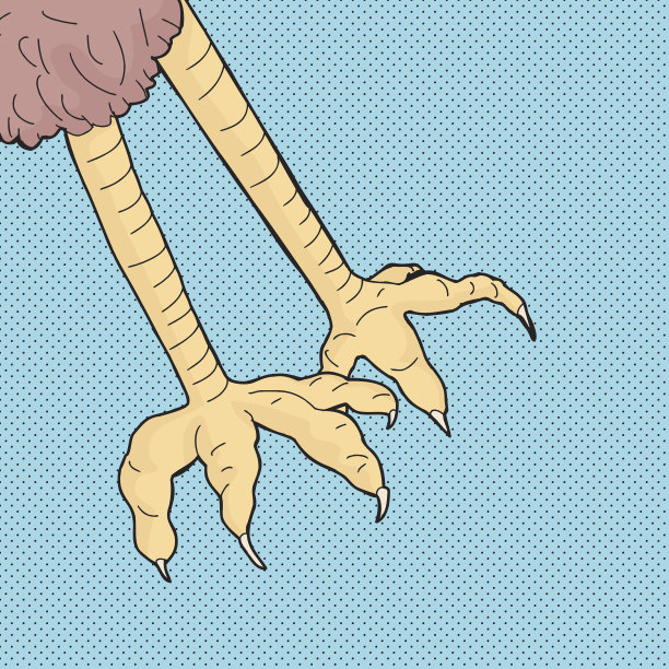 爪子在蓝色的图片下载