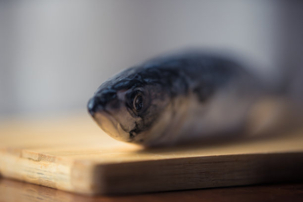 雾中之鱼图片下载