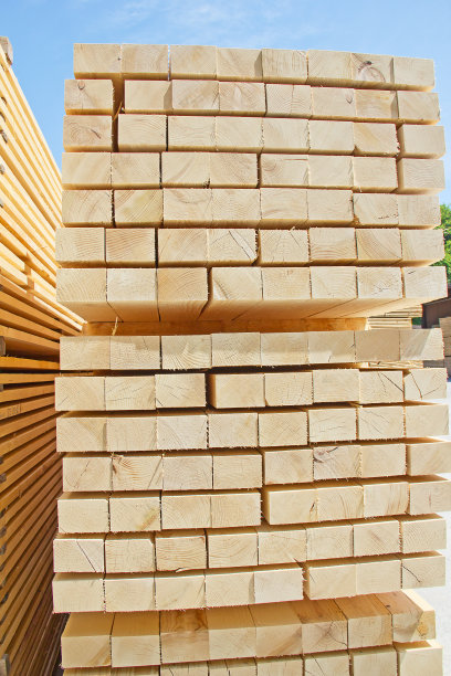 新鲜的木钉图片下载