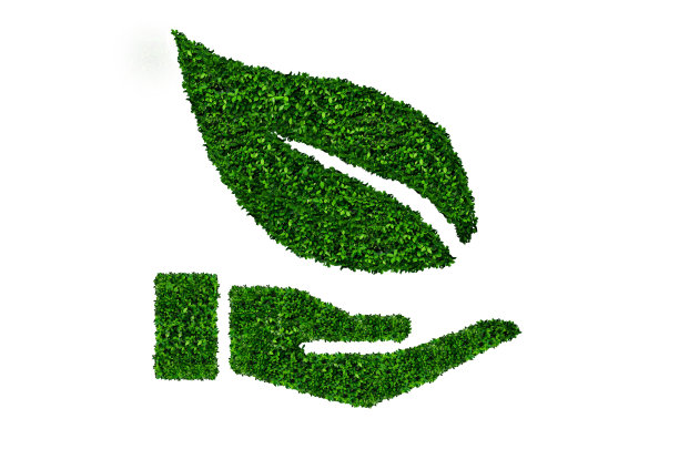 ECO标志，白色背景上的绿叶图片下载