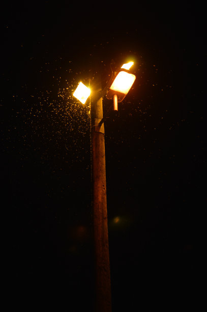 灯与飞图片下载