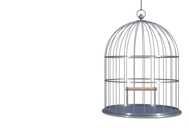 空鸟铬笼孤立在白色背景，3D渲染图片下载