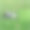 高尔夫俱乐部图片下载