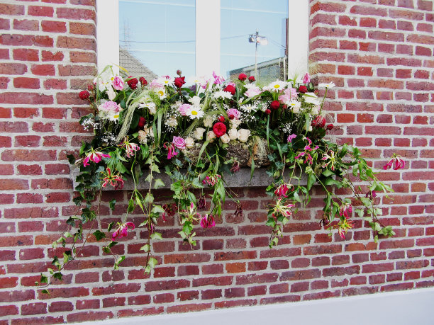 前窗鲜花的原始构图图片下载