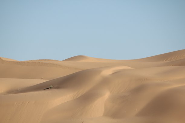 沙漠的沙丘图片下载