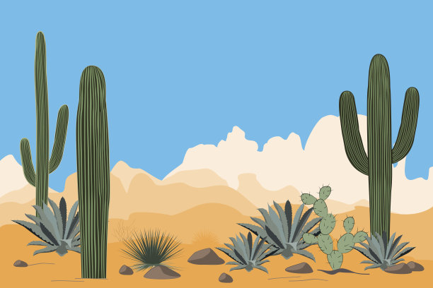 沙漠图片素材ID：157789054