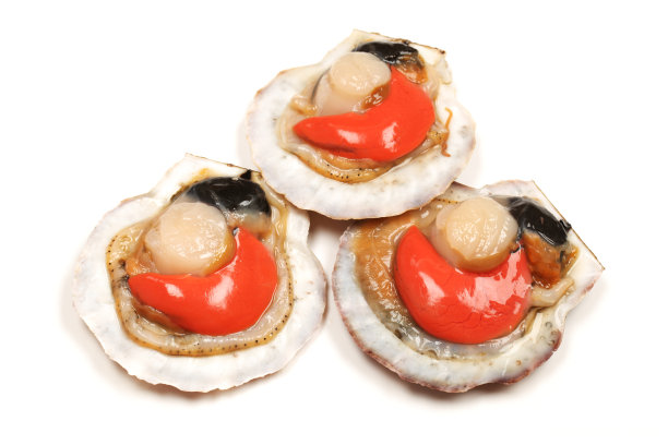 白色背景上孤立的生扇贝图片下载