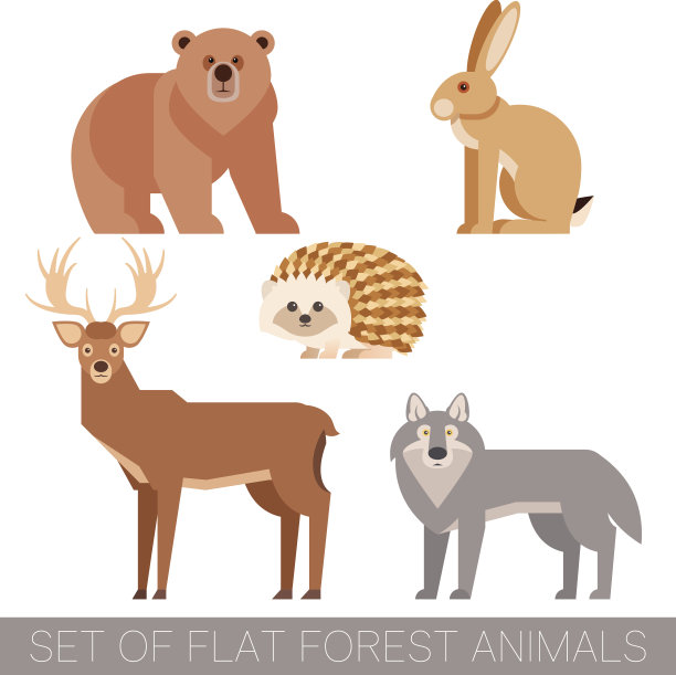 一组平坦的森林动物图片下载
