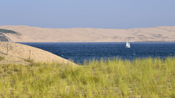 法国雪貂角沙丘图片下载