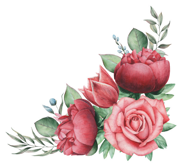 手绘水彩迷人的花和叶的组合，孤立在白色的背景素材图片