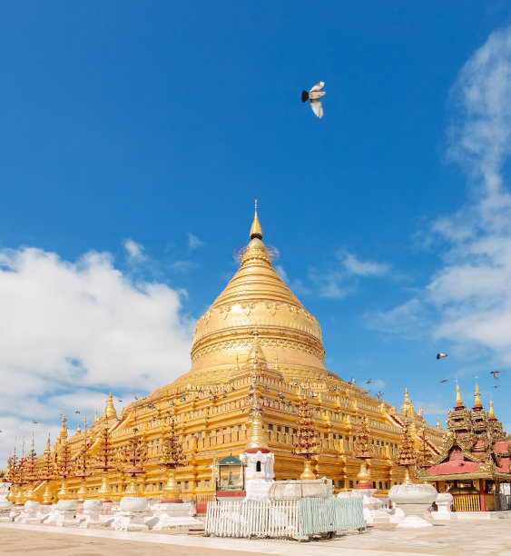 缅甸，沼泽，图表。图片下载