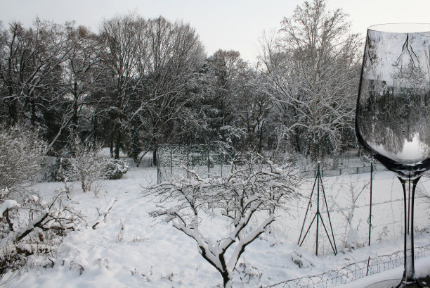 2009年下雪图片下载