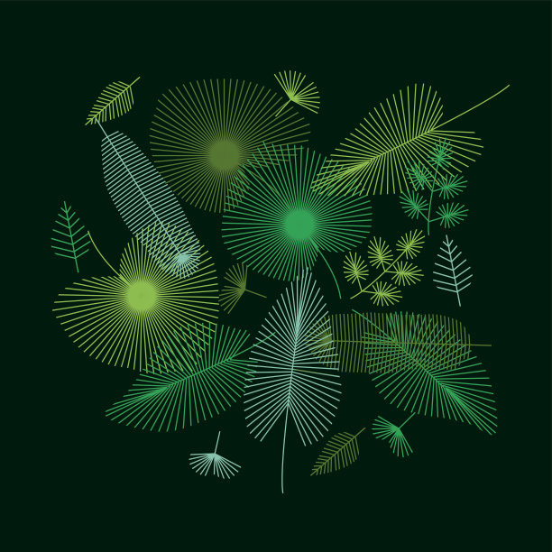 概念热带树叶设置为打印和网络项目。向量插画的自然异国情调的叶在现代几何线条风格图片下载