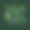 概念热带树叶设置为打印和网络项目。向量插画的自然异国情调的叶在现代几何线条风格图片下载