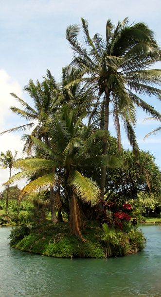 有椰子树的小岛。夏威夷。图片下载