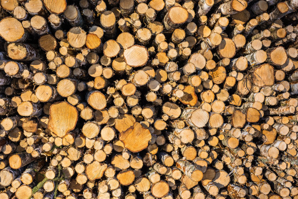 木材和木材图片下载