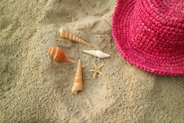 鲜艳的粉红色草帽上有许多种类的小贝壳图片下载