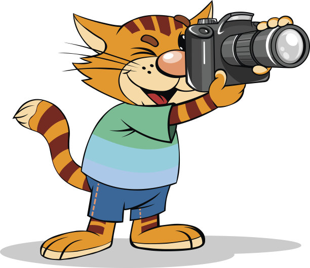 卡通猫与相机。图片下载