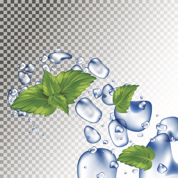 水滴和薄荷叶。打击和滴。新鲜的水。现实的矢量3d插图。图片下载