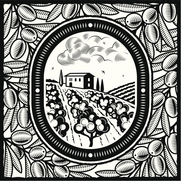 橄榄林黑白相间图片下载