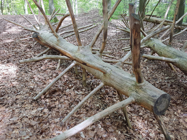 无用的人图片下载