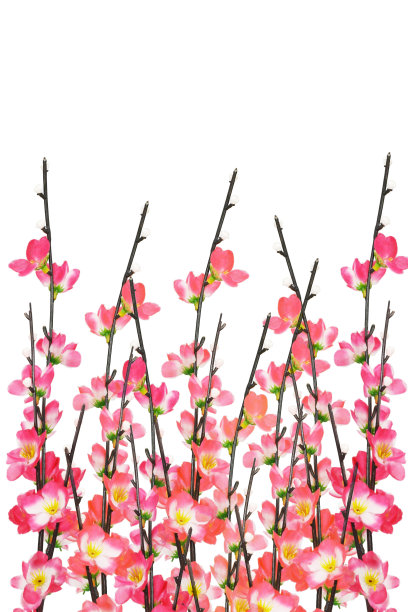 春节装饰用品图片素材ID：157856416