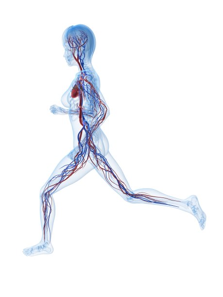 女性慢跑者图片下载