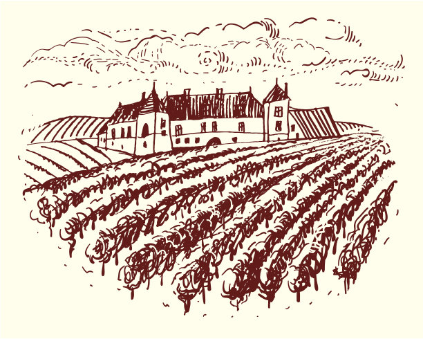 酒庄和葡萄园素材图片