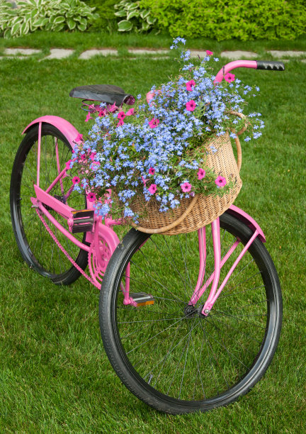 庭院装饰自行车花图片下载