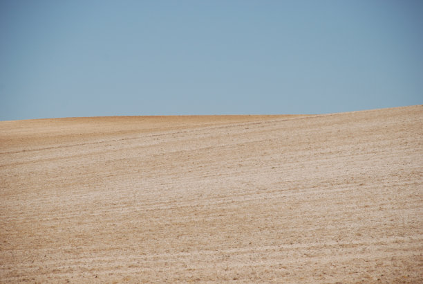 景观背景图片下载