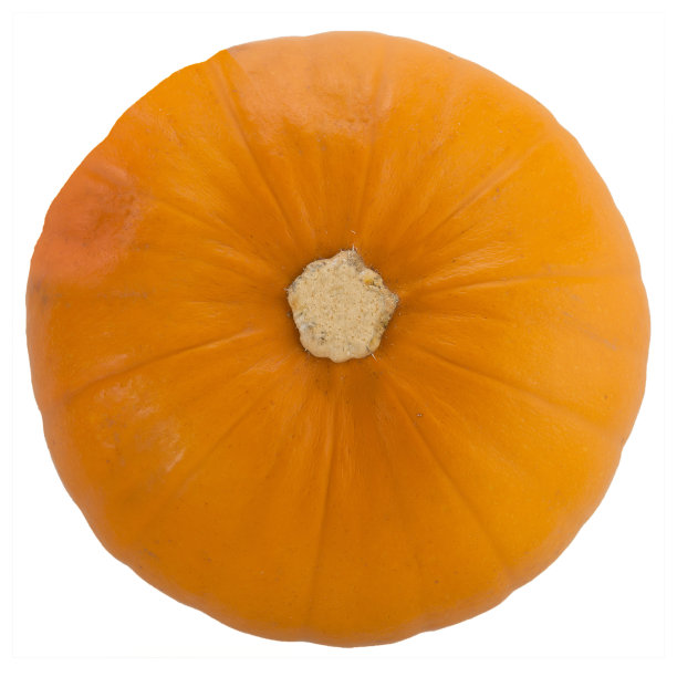 从上面孤立的南瓜图片下载