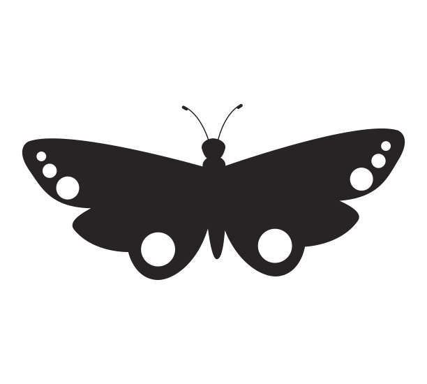 可爱的蝴蝶孤立图标图片下载