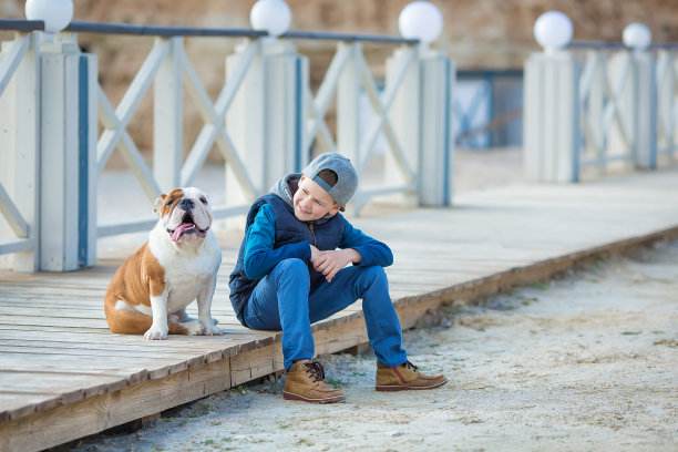 帅气的帅哥和斗牛犬在沙滩上图片下载
