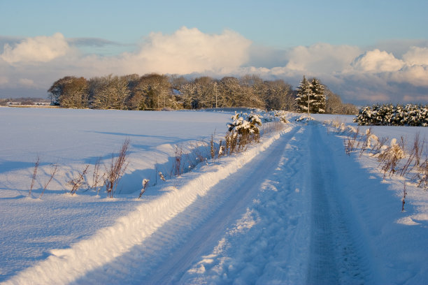 白雪皑皑的乡间小路图片下载