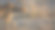 豹子照片素材ID：157908412