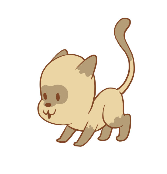 可爱的小猫在看东西，彩色图像图片下载