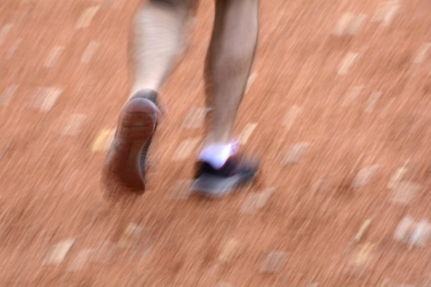 在树林里奔跑-7图片下载