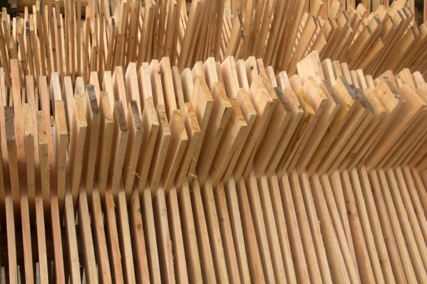 切成薄片等待木材干燥图片下载