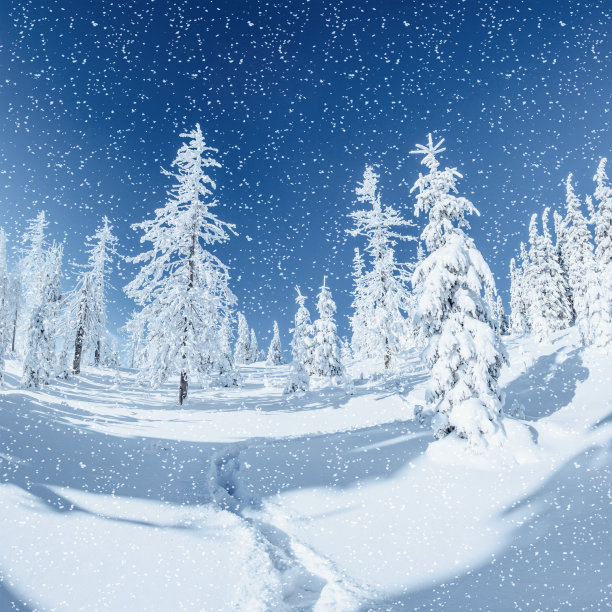 神奇的冬季景观。图片下载