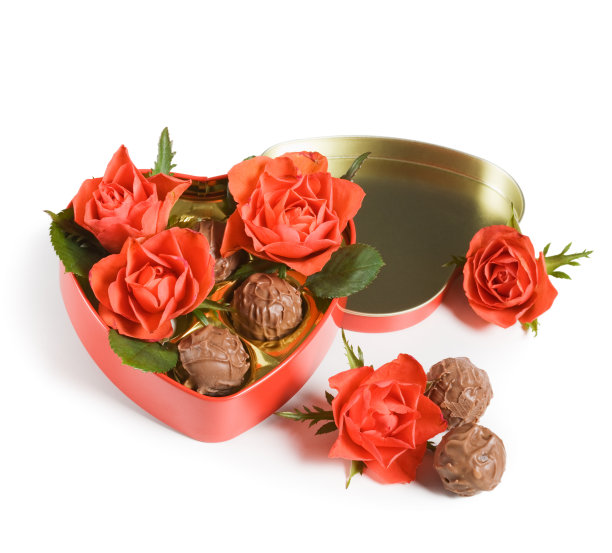 红玫瑰和松露图片下载